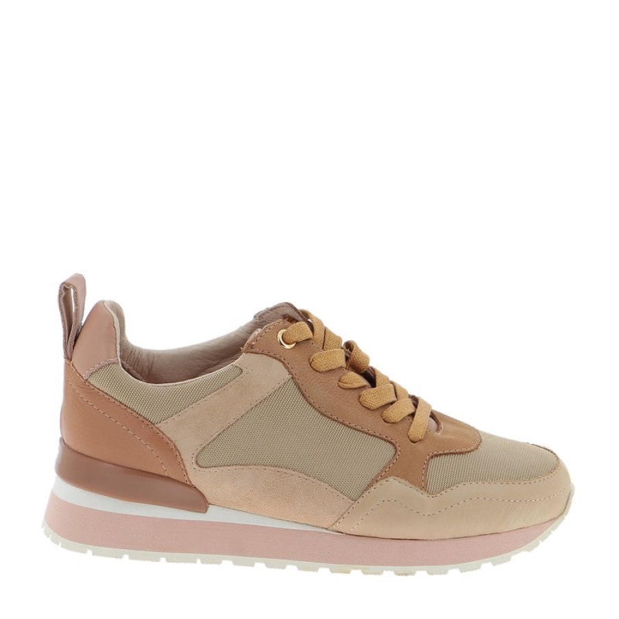 Womens Mollini | Mollini Tazen Desert Sneaker