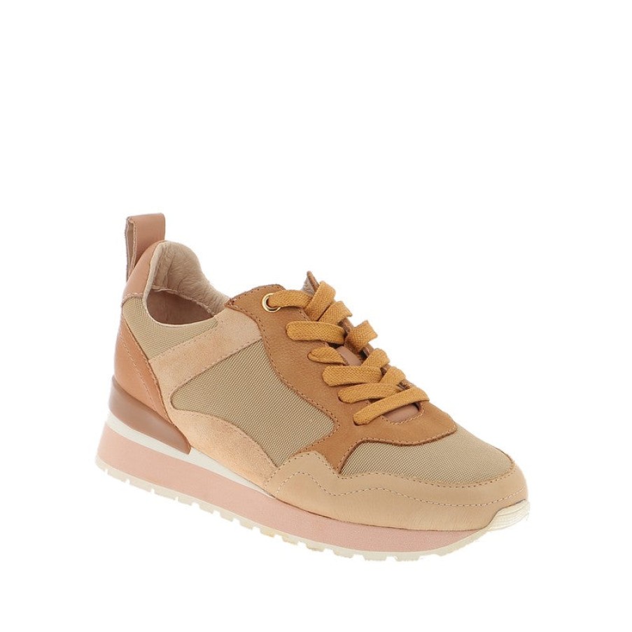 Womens Mollini | Mollini Tazen Desert Sneaker